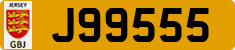 J99555