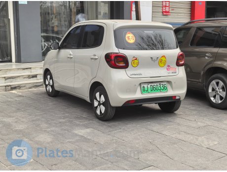 鲁J·D60336, Wuling Hongguang MINI EV