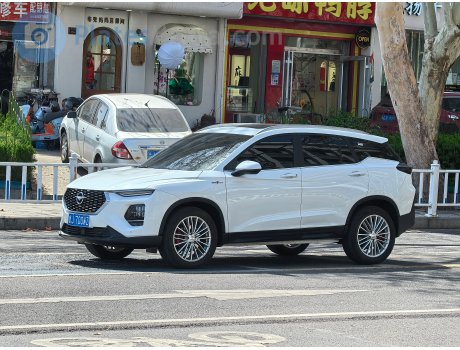 鲁J·700WZ, Haima 8S