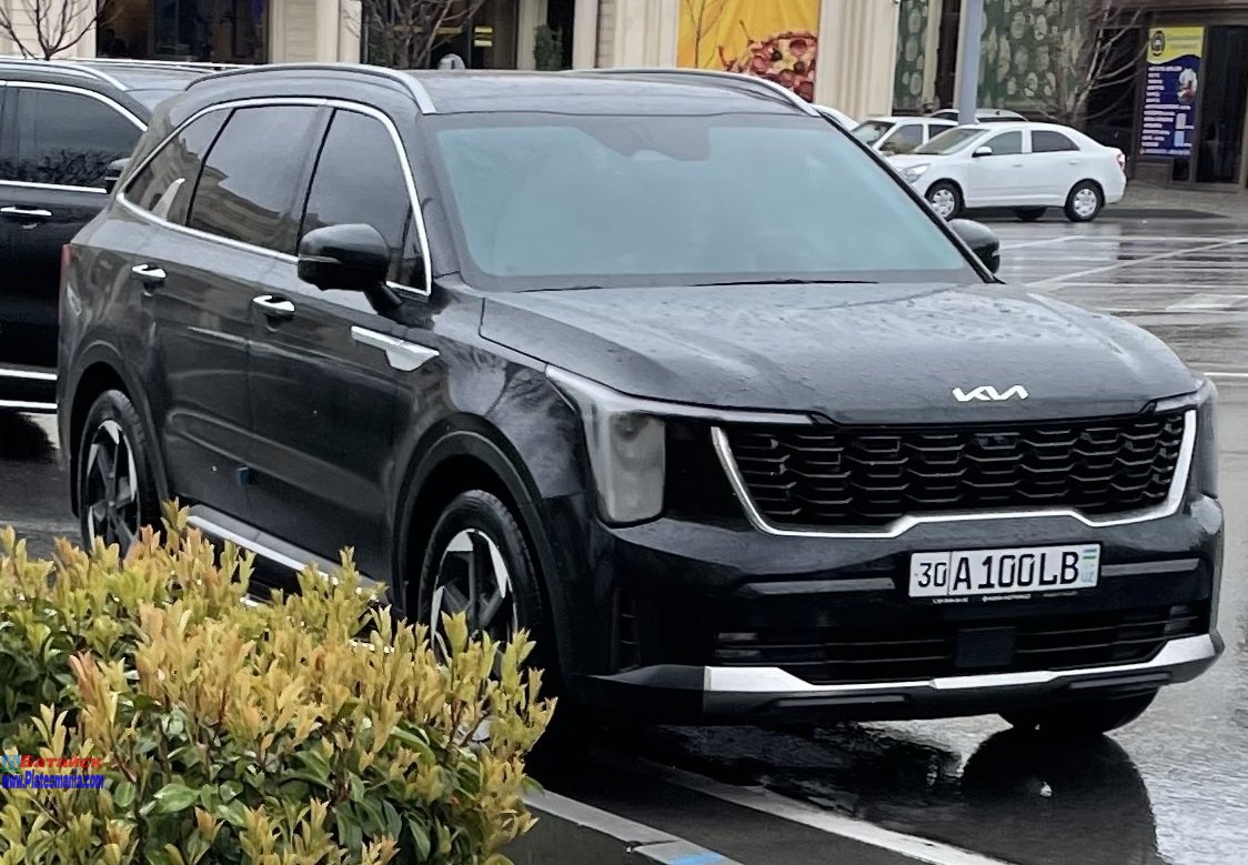 30 A 100 LB, Kia Sorento 4th gen (MQ4), facelift, 2023–