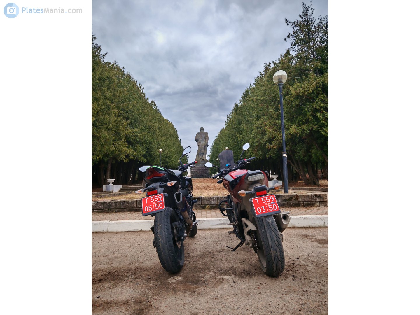 T 559 05 50, Kawasaki Z400 