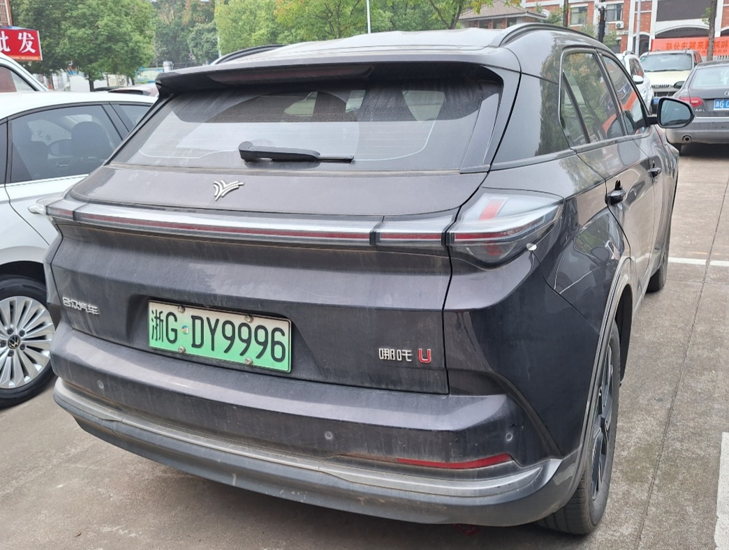 浙G·DY9996, Neta X 