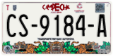 Campeche, Trucks (AA-0000-A)