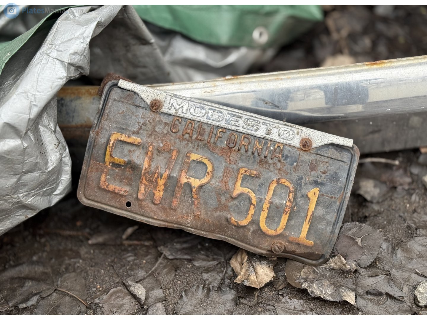 EWR 501, License plate without vehicle 