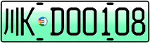 License plate of China, Electric vehicles