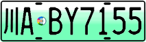 License plate of China, Electric vehicles