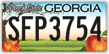 Georgia, ABC 1234