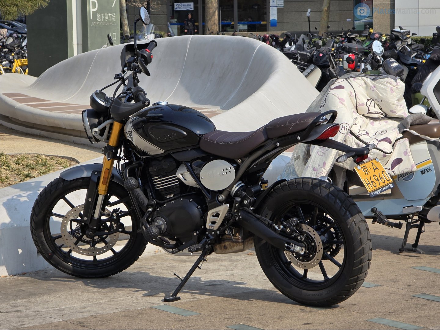京A·H6960, Triumph Motorcycles Scrambler 400, 2023–