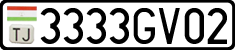 3333GV02