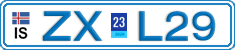 ZX L29