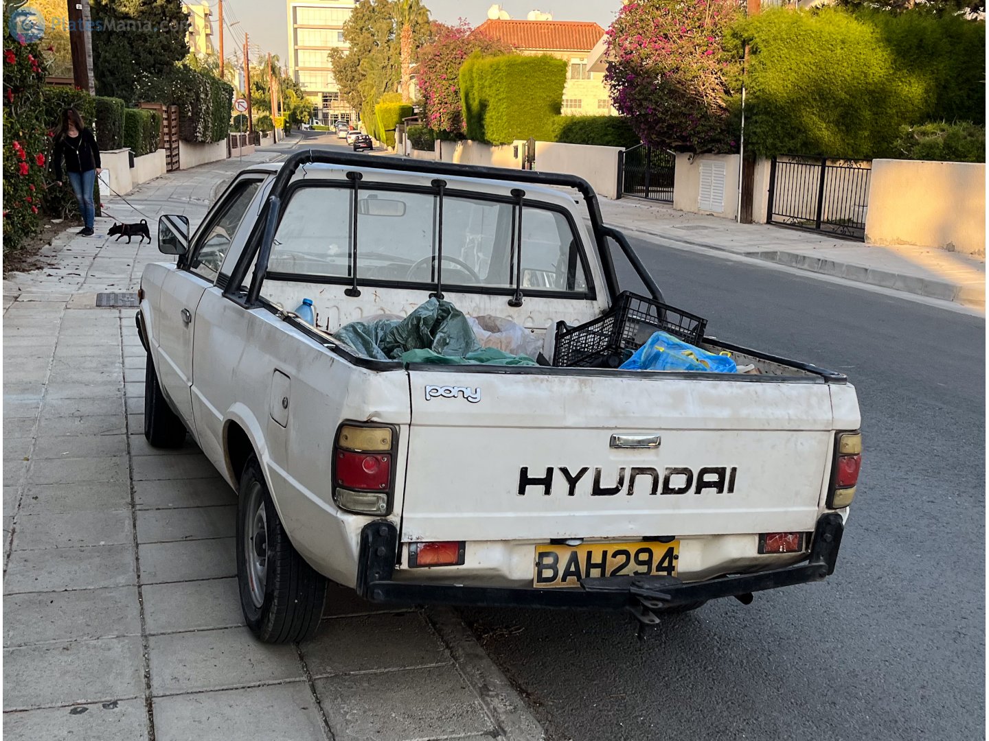 BAH 294, Hyundai Pony 2nd gen Pickup (110), 1982–1990