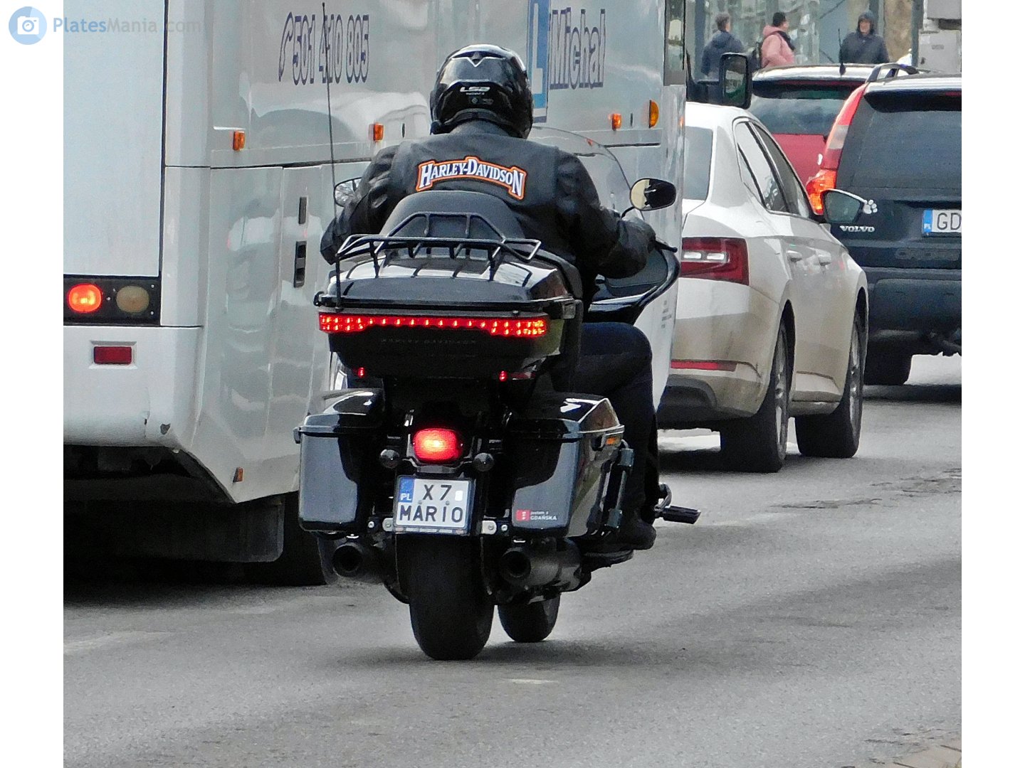 X7 MARIO, Harley-Davidson FL 