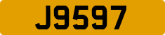 J9597