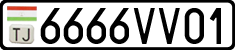 6666VV01