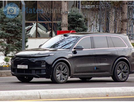 01 115 UZD, Li Xiang L9