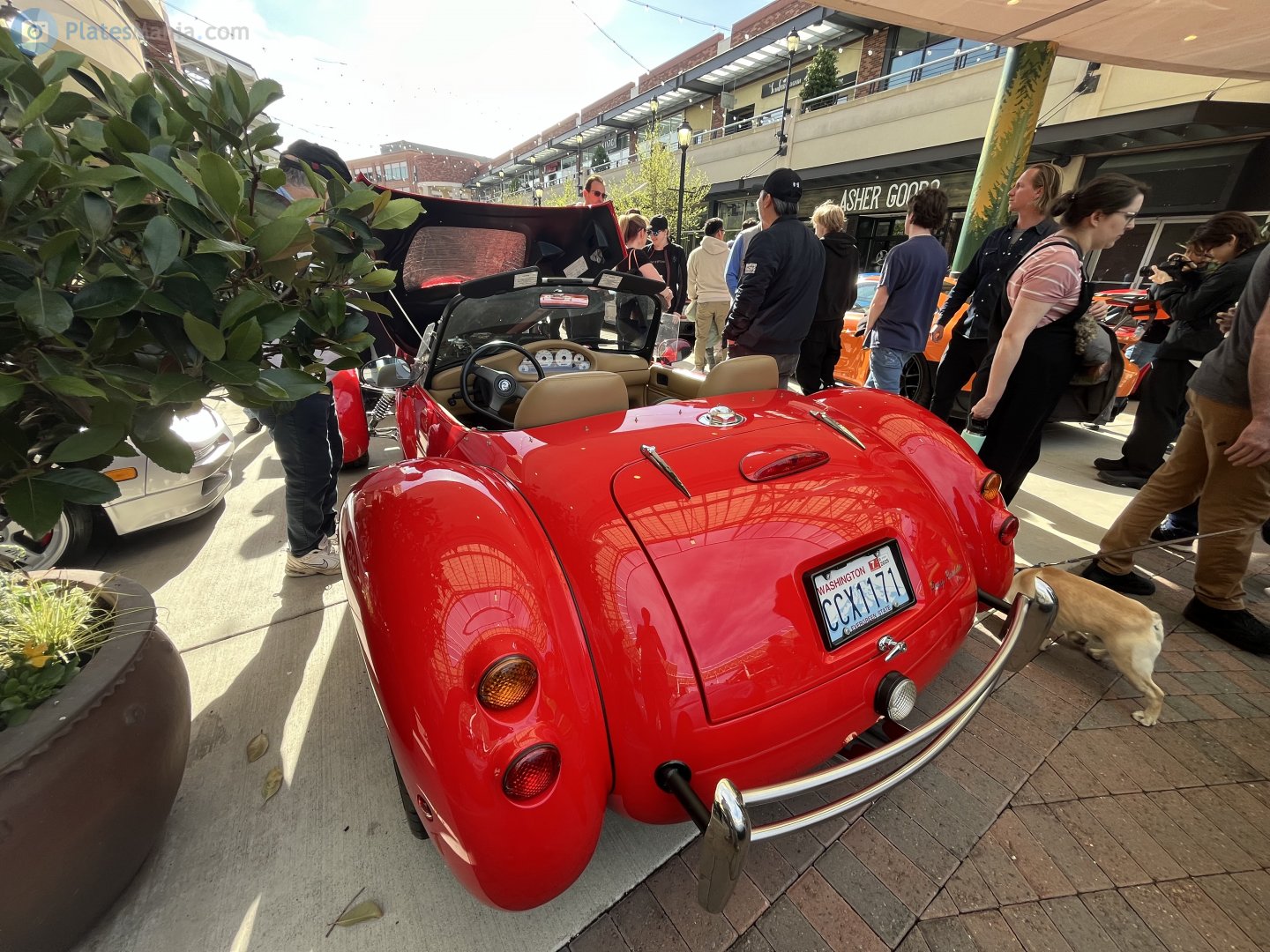 CCX1171, Panoz Roadster 