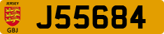 J55684