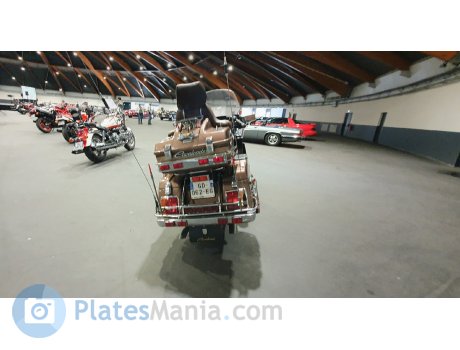 GD-062-EG, Suzuki Cavalcade