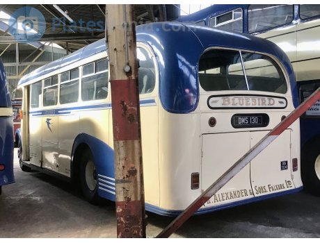 DMS 130, AEC Regal