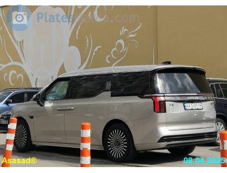 AA 3439 YB, Zeekr 009