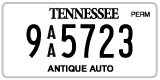 Tennessee, Antique (AA 12345)