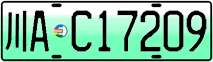 License plate of China, Electric vehicles