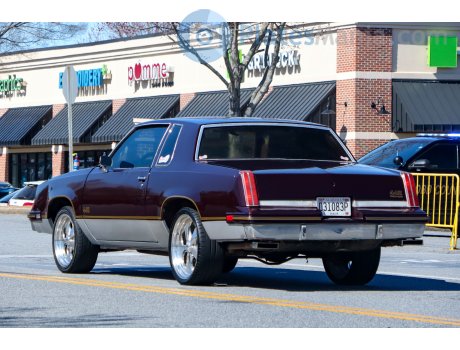 D31083P, Oldsmobile 442