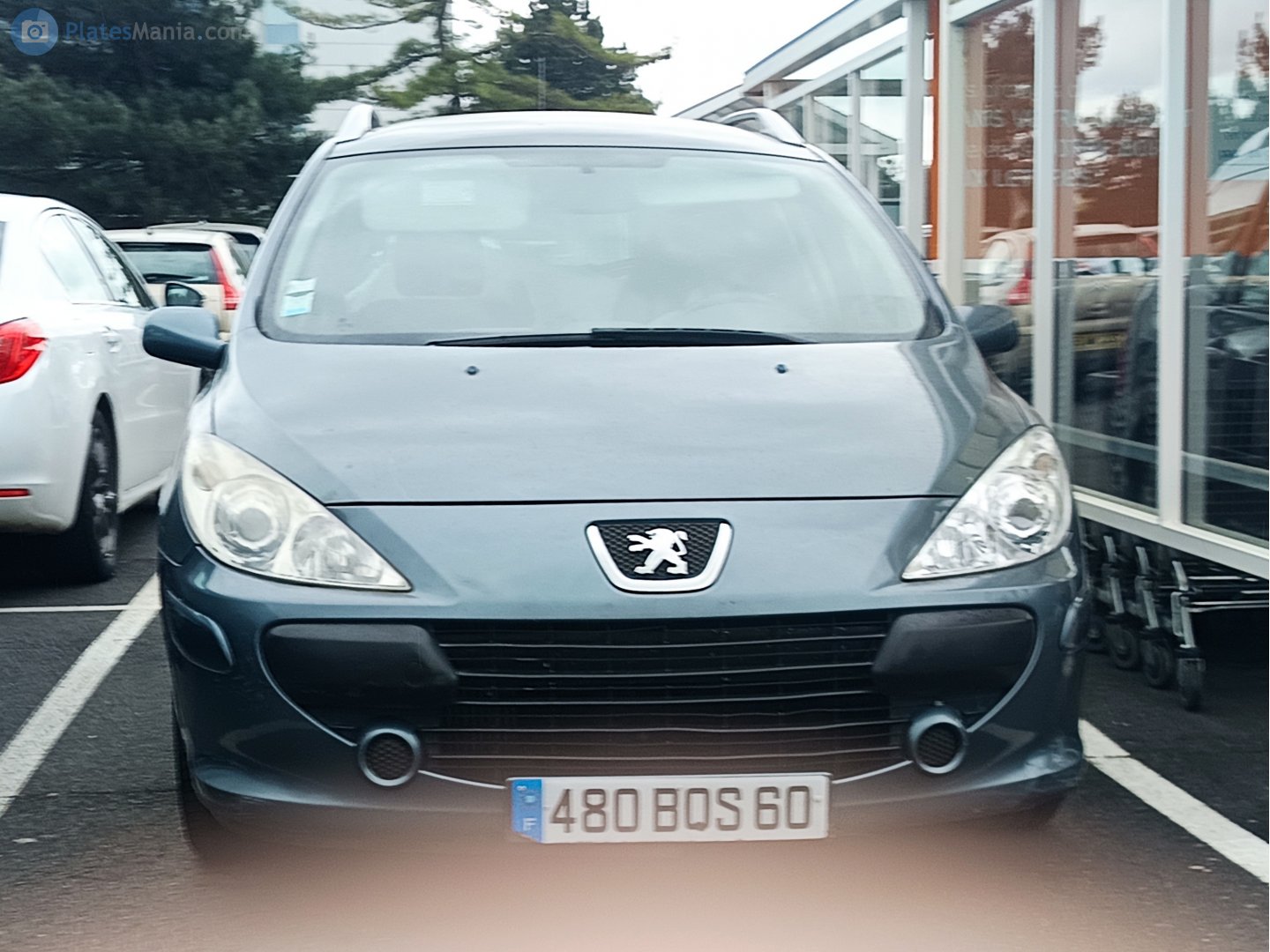 480 BQS 60, Peugeot 207 SW Wagon (A72), 2007–2013