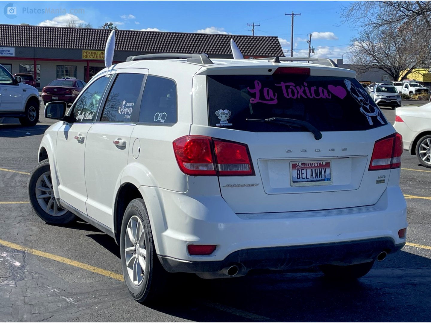 BELANNY, Dodge Journey 1st gen (JC49), 2008–2020