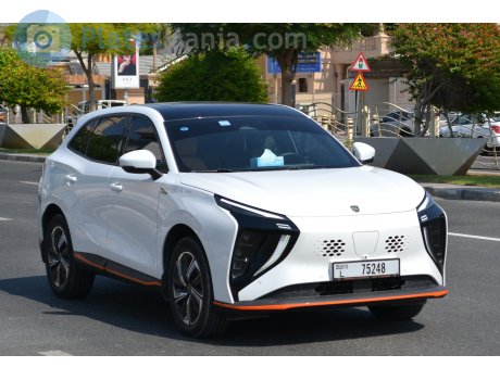 L 75248, Forthing (Fengxing) Friday