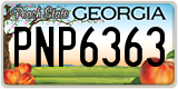 Georgia, ABC 1234