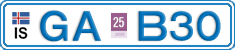 GA B30