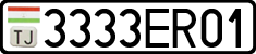 3333ER01