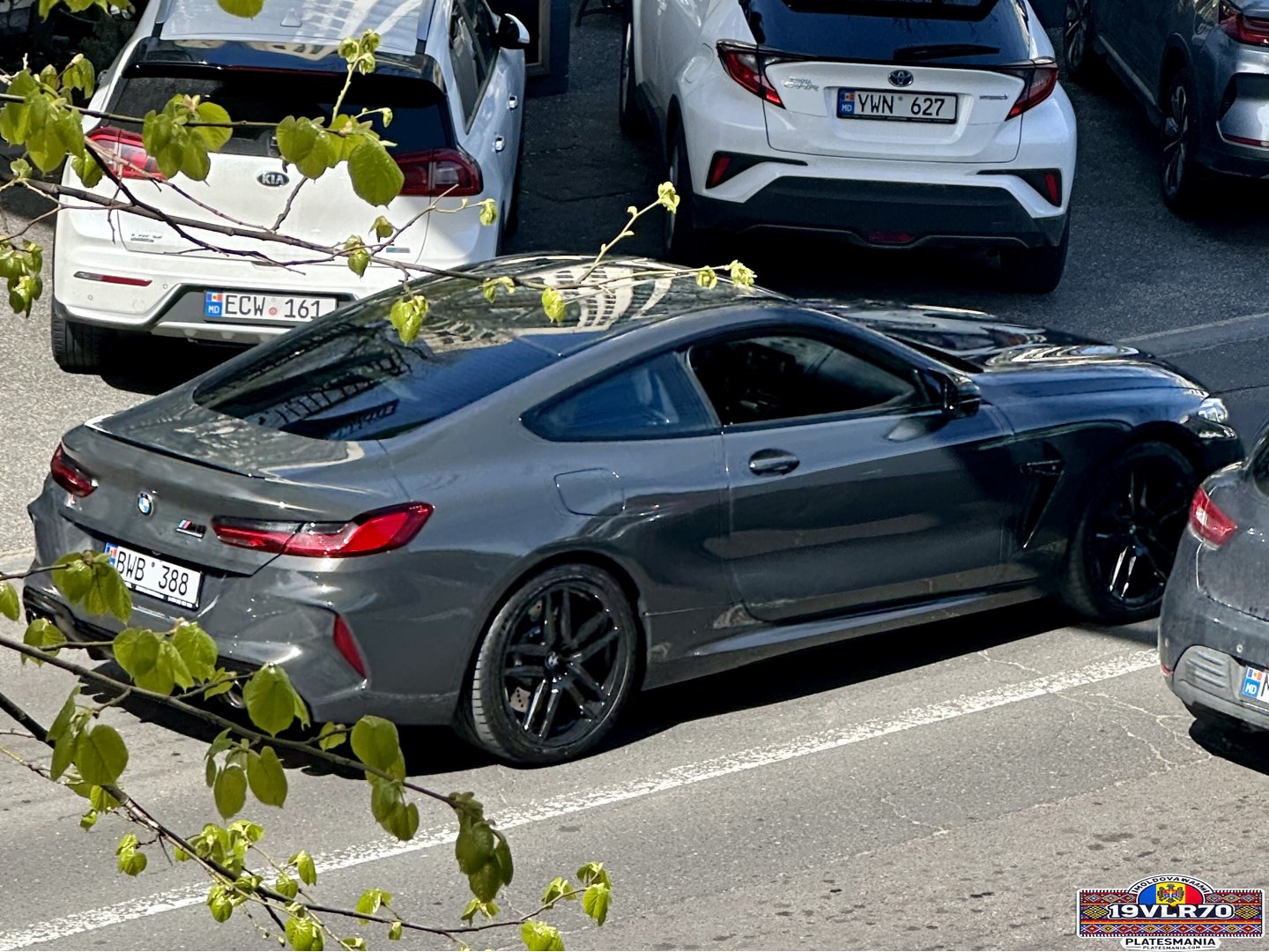 BWB 388, BMW M8 1st gen Coupé (F92), 2019–