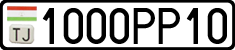 1000PP10