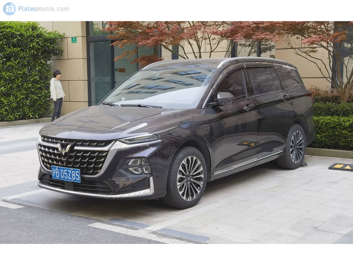 沪B·05Z85, Wuling Victory (Kaijie) 