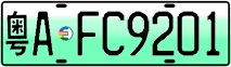 License plate of China, Electric vehicles
