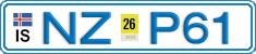 NZ P61
