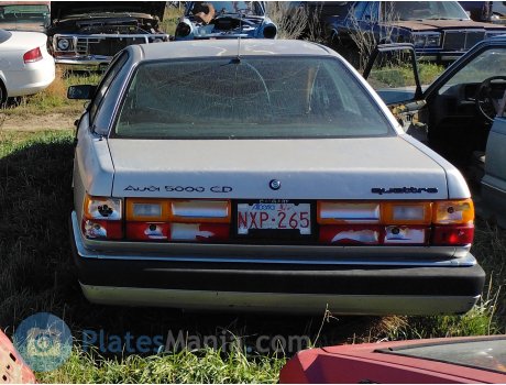 NXP-265, Audi 5000