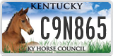 Kentucky, Specialty plates (A1B234)