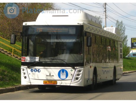 вв 900 64, MAZ 203