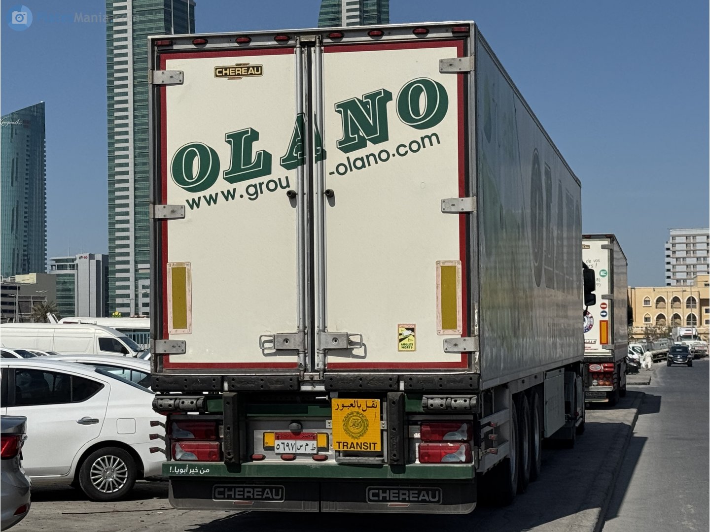 ٥٦٩٧ سمط, Chereau 