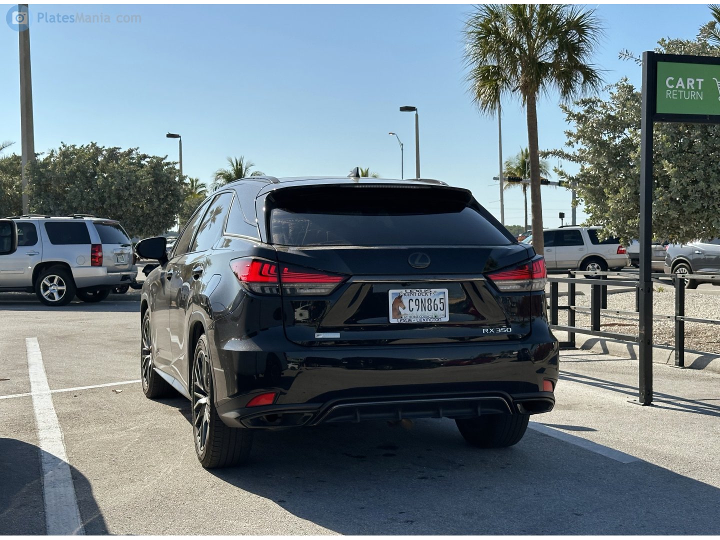 C9N865, Lexus RX 4th gen (AL20), facelift, 2019–2022