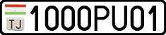 1000PU01