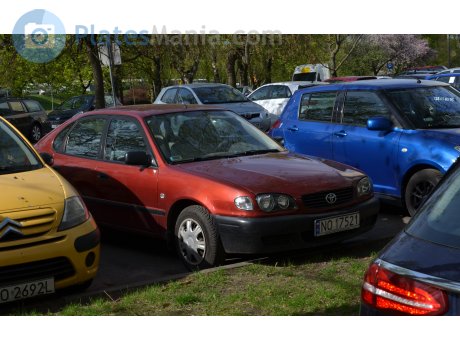 NO 17521, Toyota Corolla