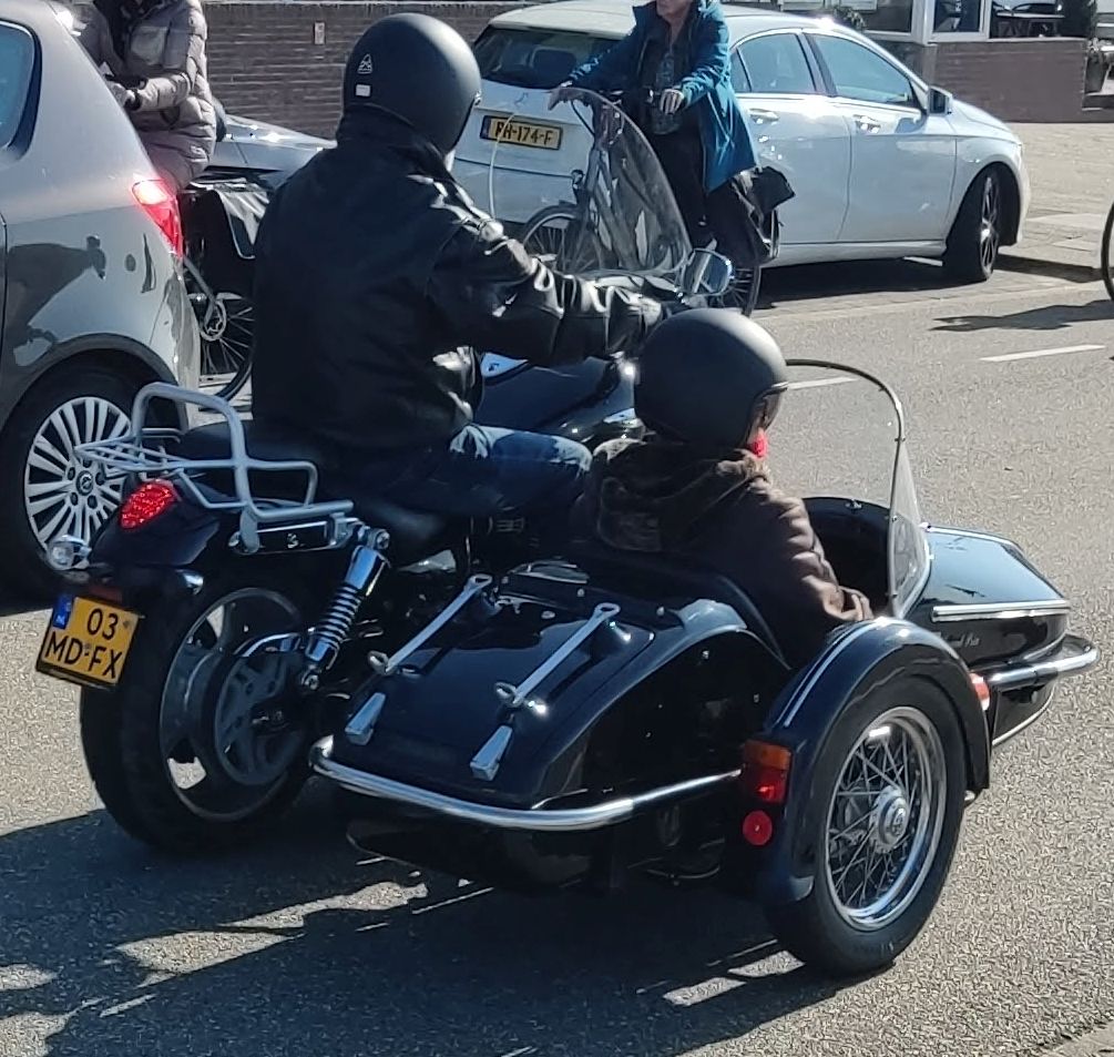 03-MD-FX, Triumph Motorcycles Thunderbird 