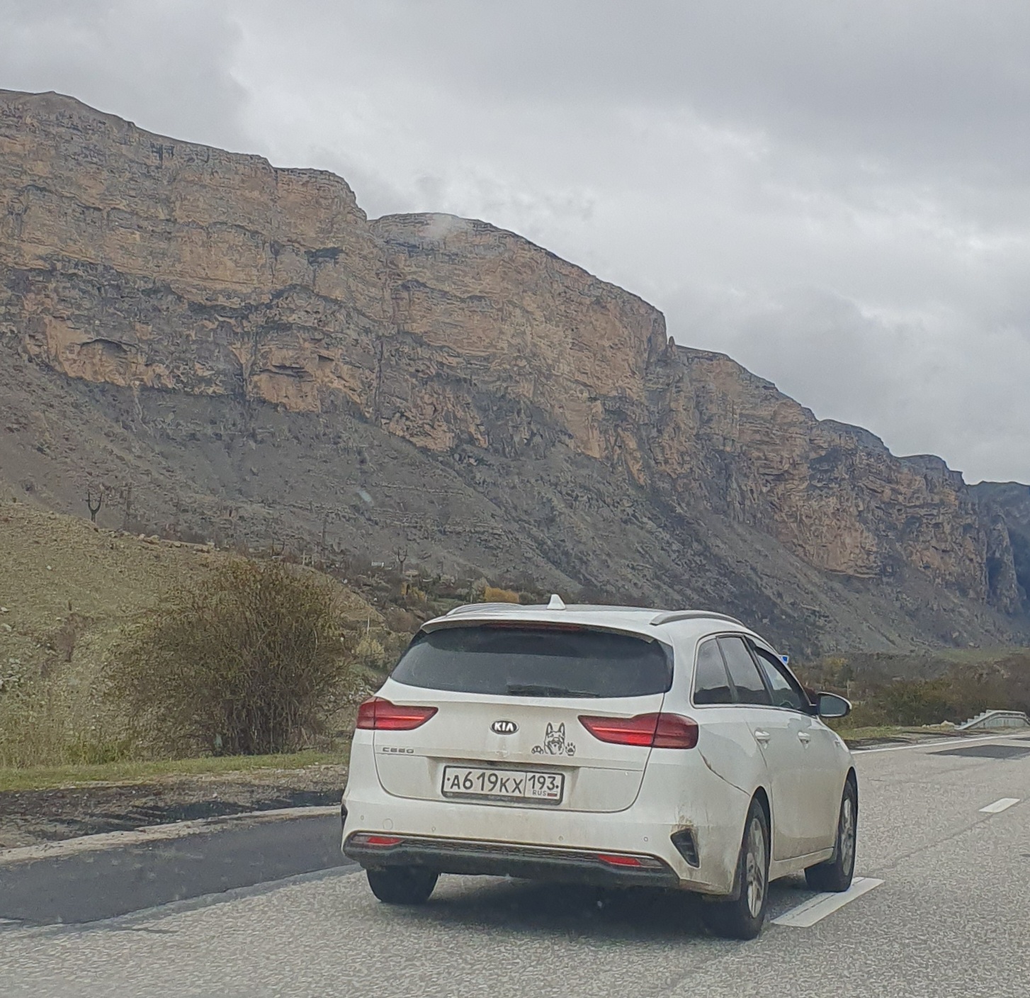 а 619 кх 193, Kia Ceed 