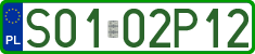 License plates of Poland, Professional plates
