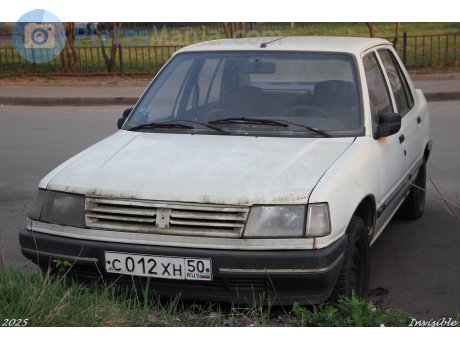 с012хн50, Peugeot 309
