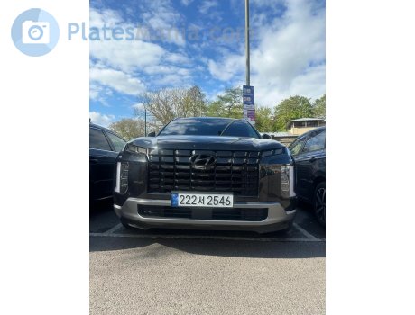 222서 2546, Hyundai Palisade